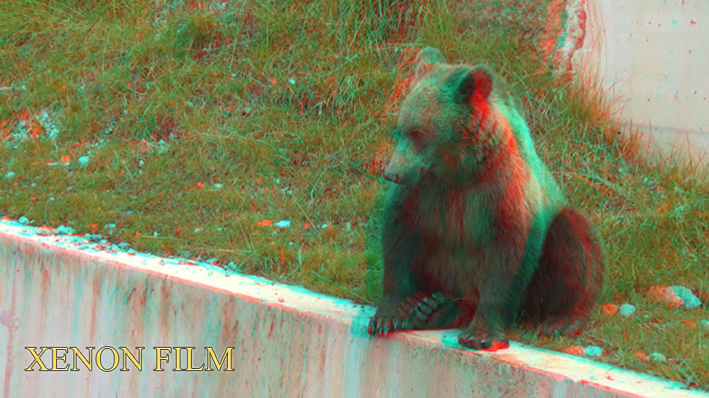 3D_Baer